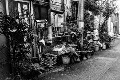 路地