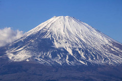静かで大きな佇まい