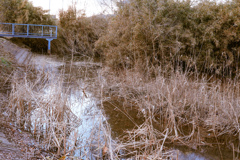 DSC00184