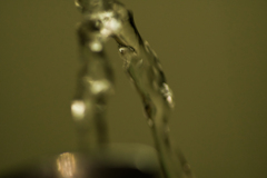 DSC00444