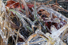 DSC00317