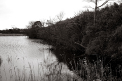 DSC00182