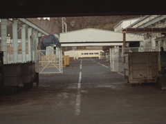 P2054010
