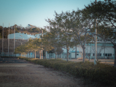 P2053966