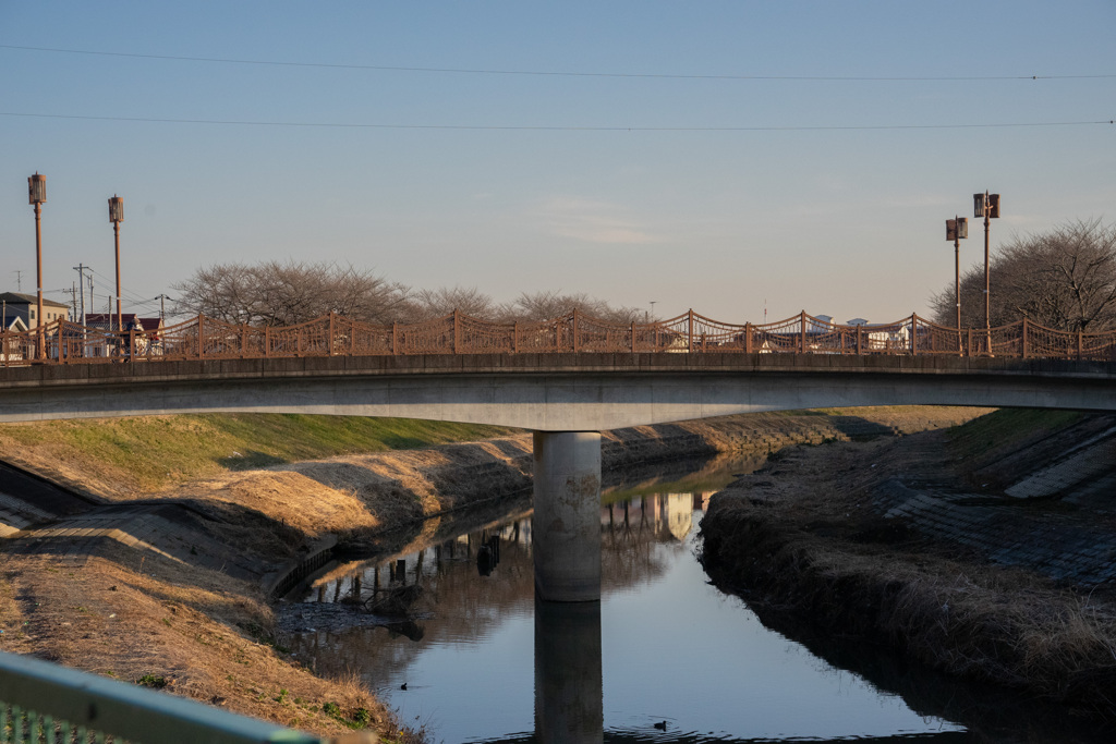 橋