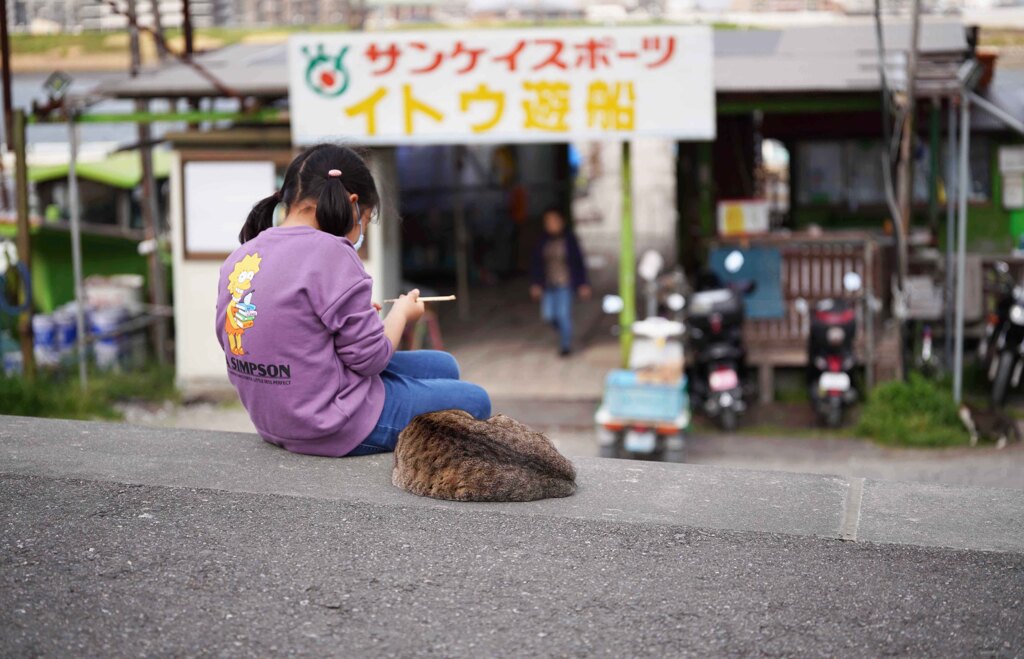 妙典cat