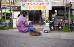 妙典cat