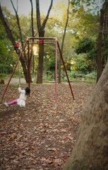 林試の森公園の遊具
