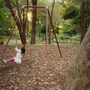 林試の森公園の遊具