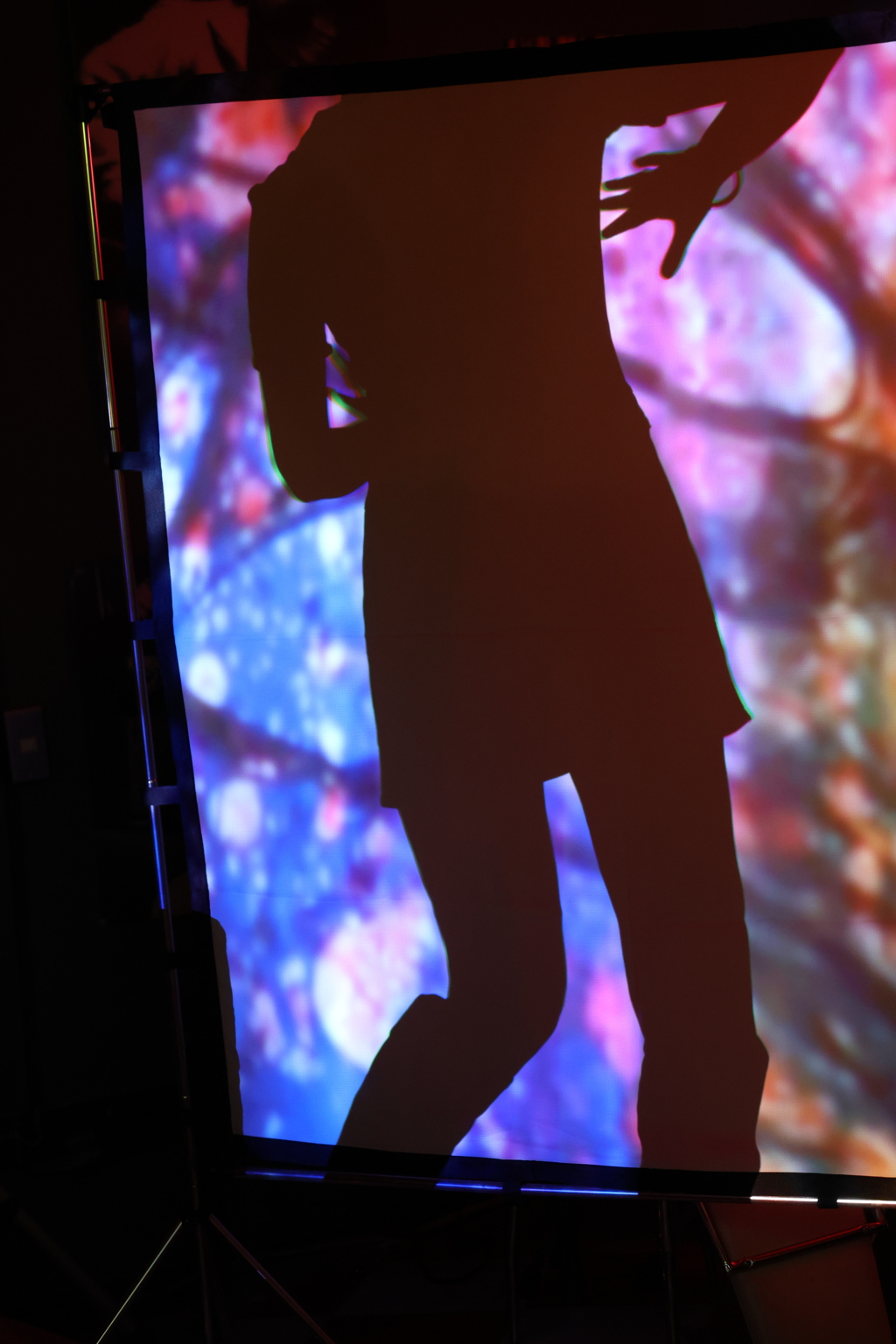 ゴーゴーガール