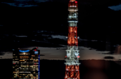 六本木ヒルズ・東京タワー