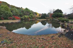 小石川植物園1