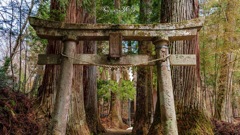 隠津島神社