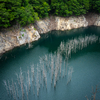 水没林