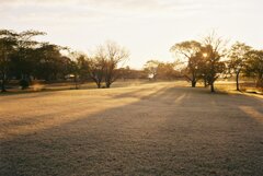 朝の公園