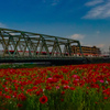 「ポピー」「成田エクスプレス」青空には赤が映える
