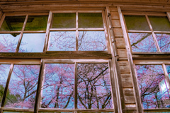 どこか懐かしい風景　「木造校舎と桜」②
