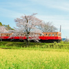 小湊鉄道　飯給駅