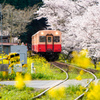 小湊鉄道　飯給駅