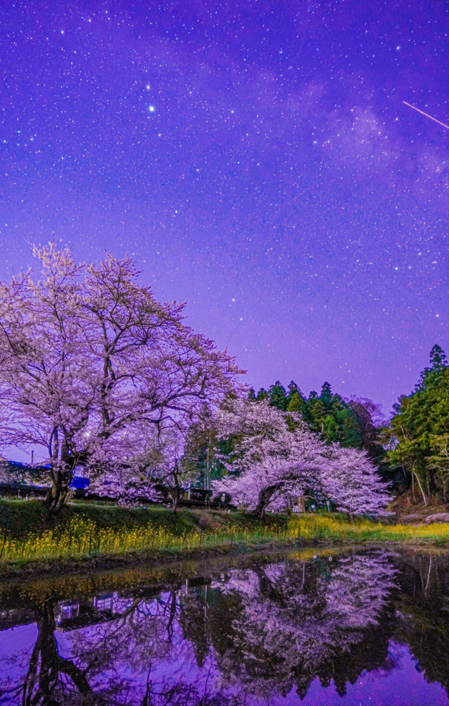 来年も楽しみにしてます