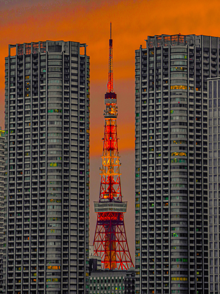 東京タワーは夕景が似合う