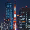 微妙な挟まれ東京タワー