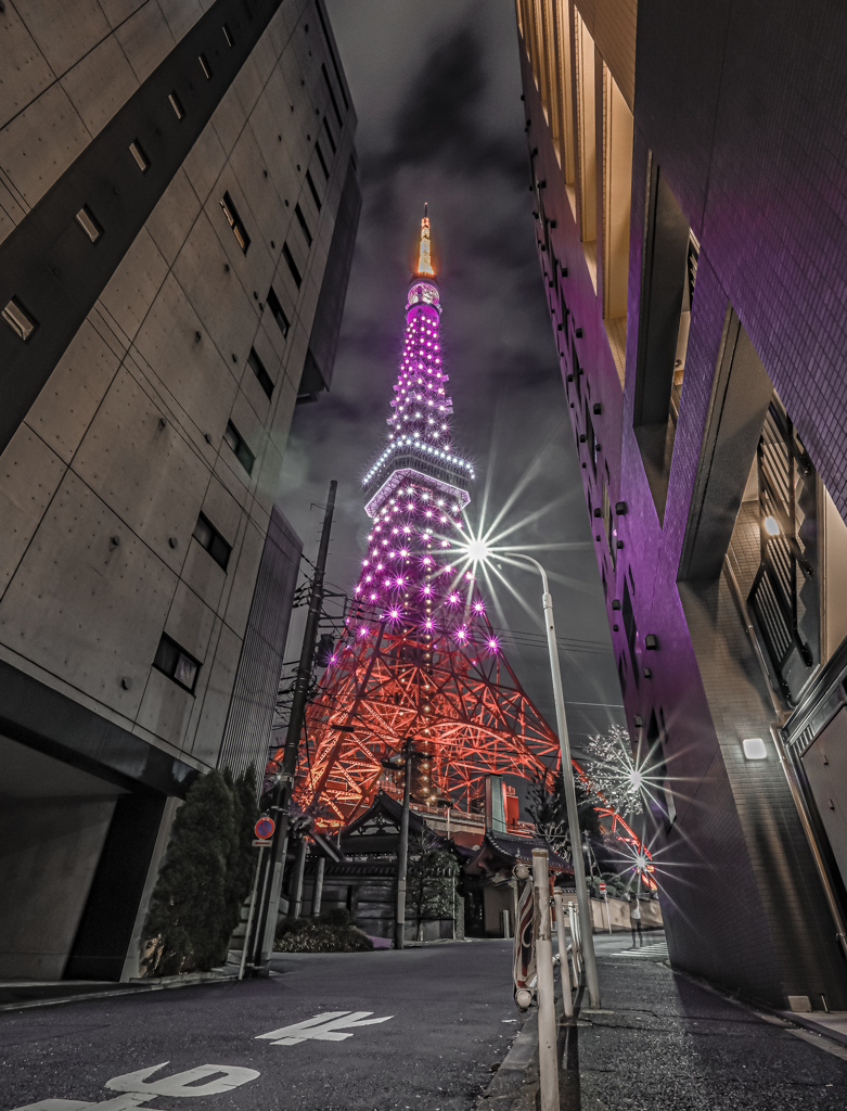 月曜日の「東京タワー」