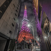 月曜日の「東京タワー」