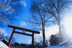 神社へお参り