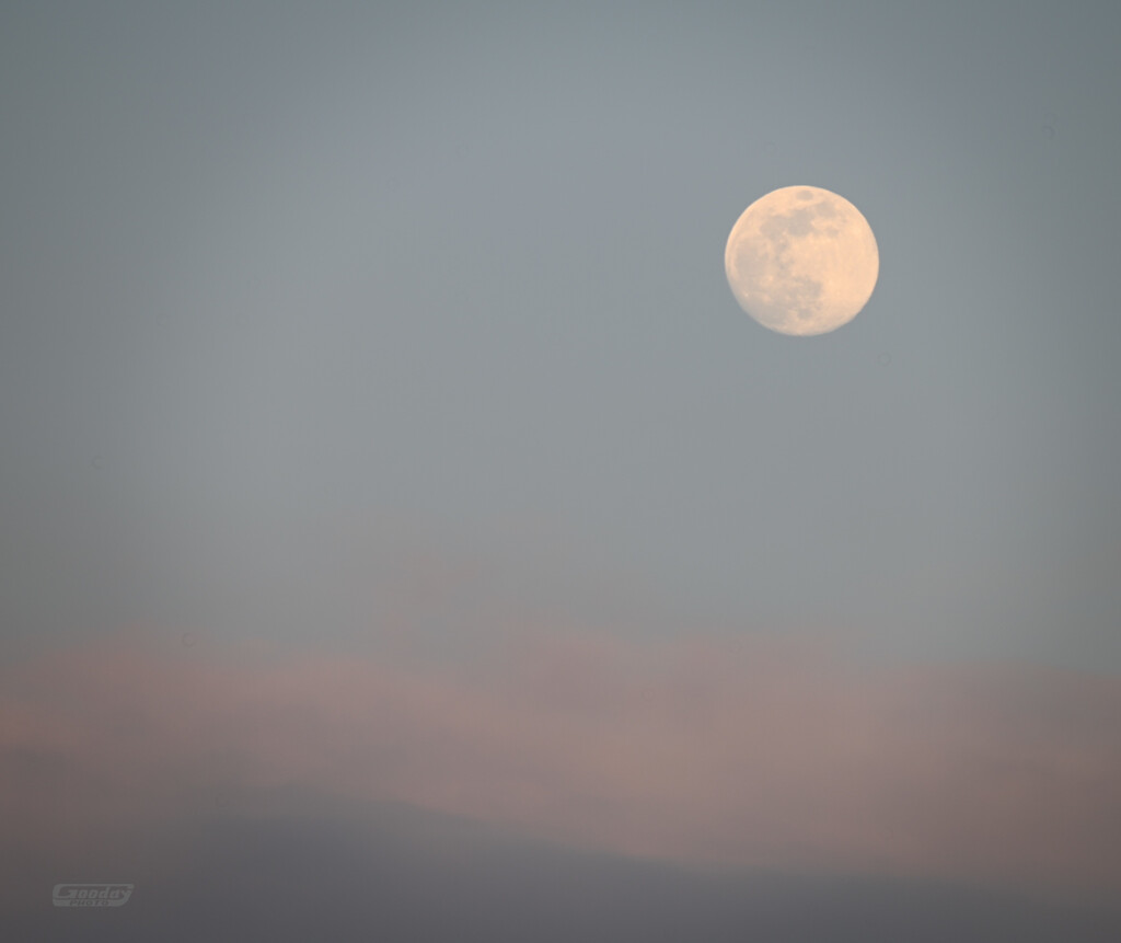 moon_kumo