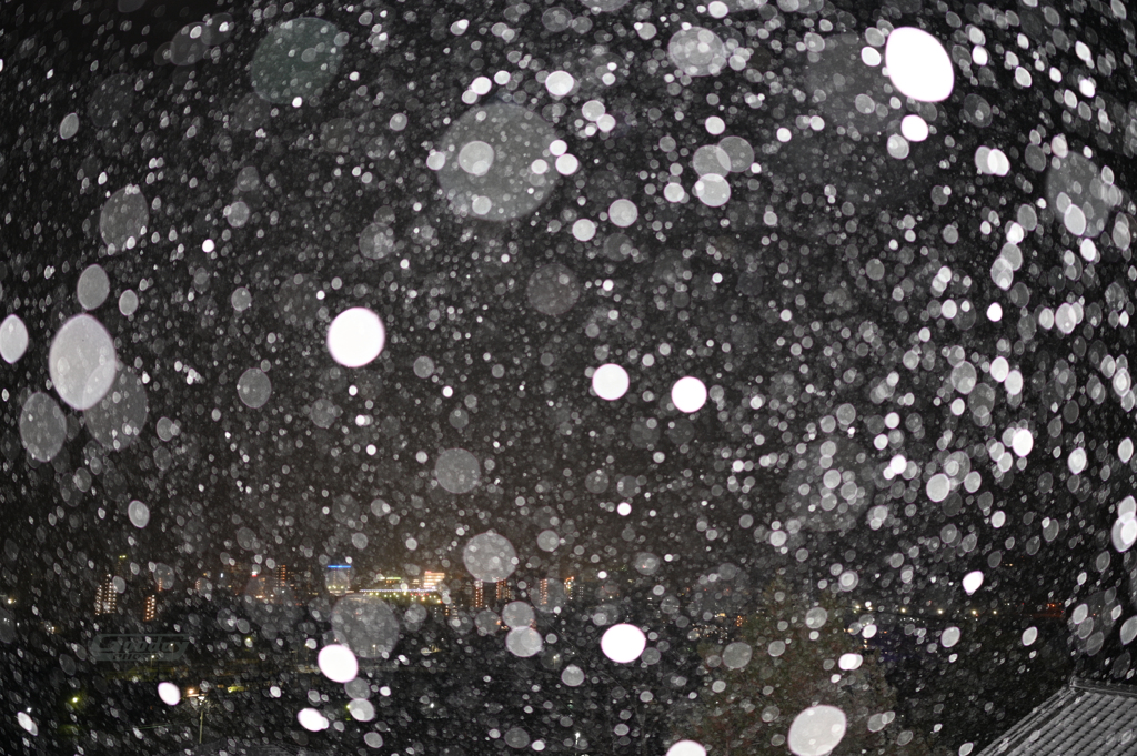 夜の雪