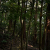 ISOGAMI05