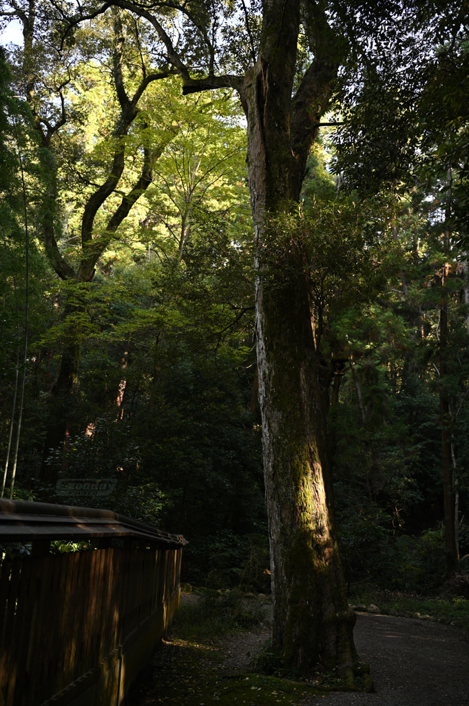 ISOGAMI04