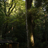 ISOGAMI04