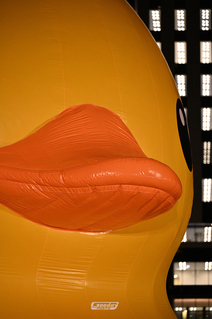 loverduck