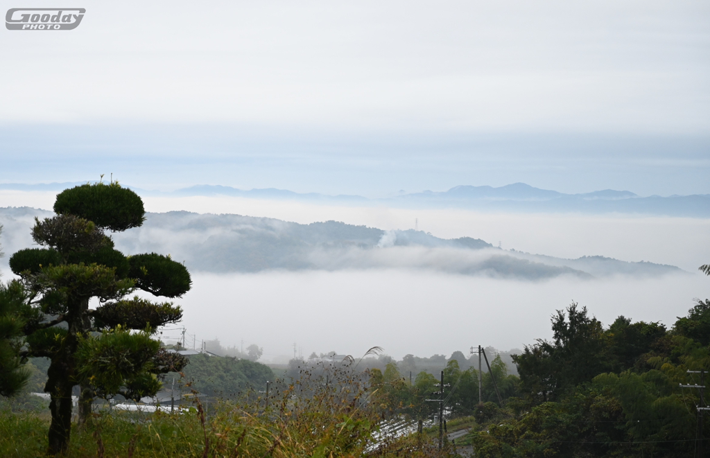 雲海