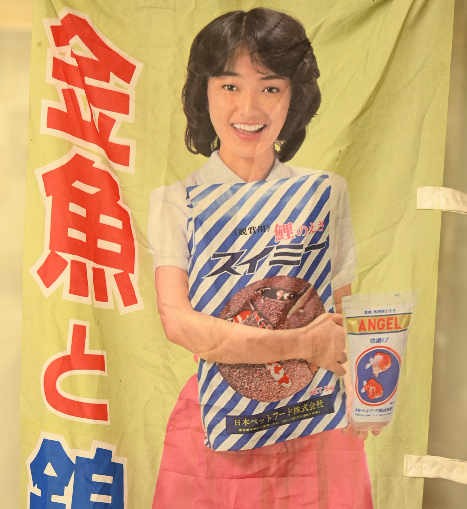 郡山金魚資料館
