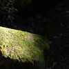 ISOGAMI02