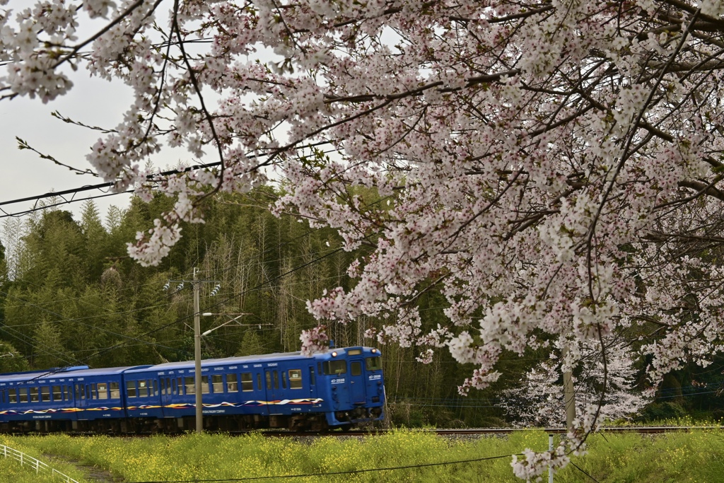 撮影旅行 in 長崎 18