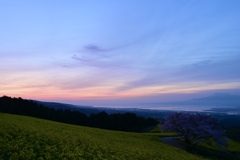 撮影旅行 in 長崎 15