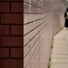 wall