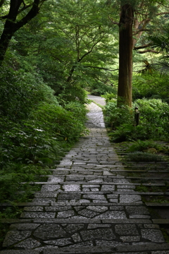 瑞泉寺