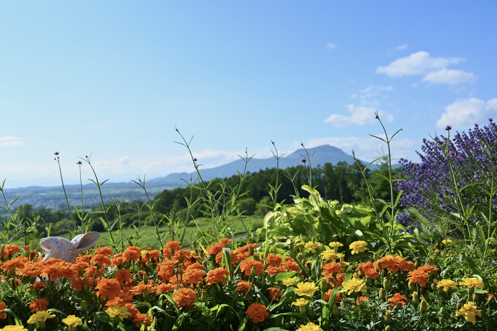 有珠山をバックに