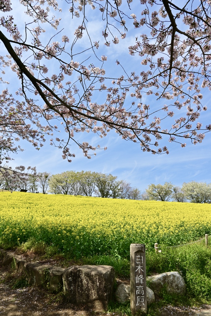 撮影旅行 in 長崎 11