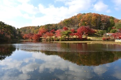 紅葉散歩