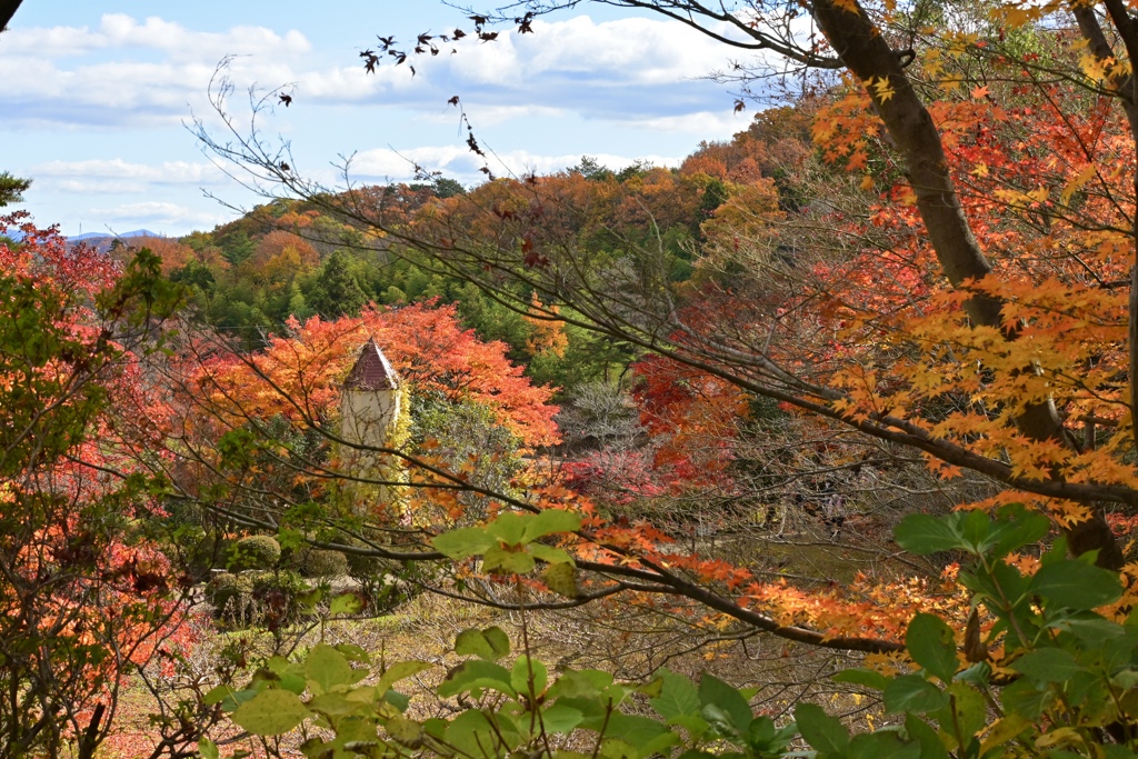 紅葉散歩　番外編⑤