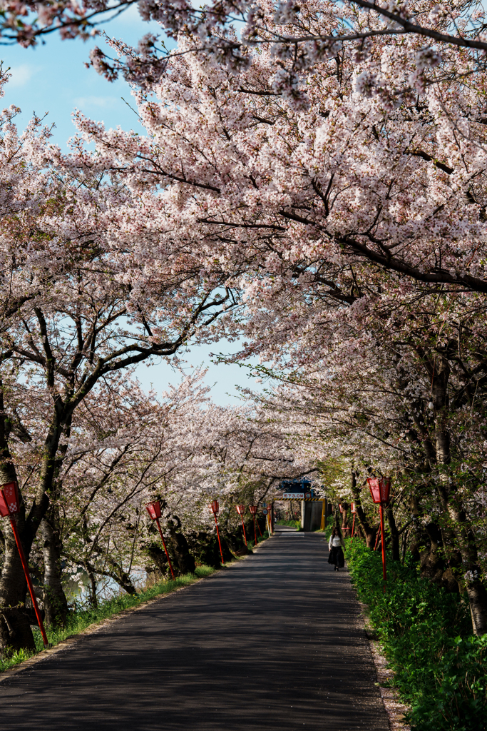 トンネルの先に