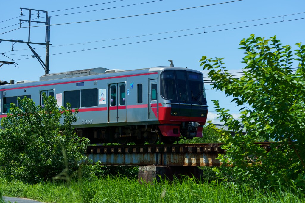 深緑と古い橋