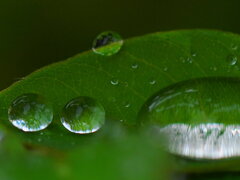 雨上がり