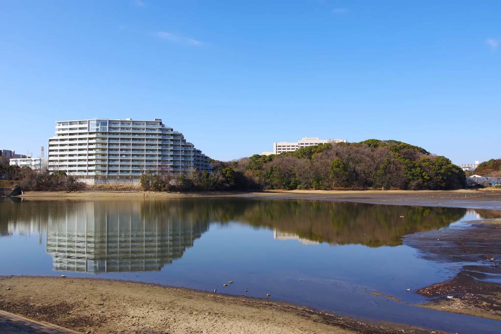 人工山と自然山
